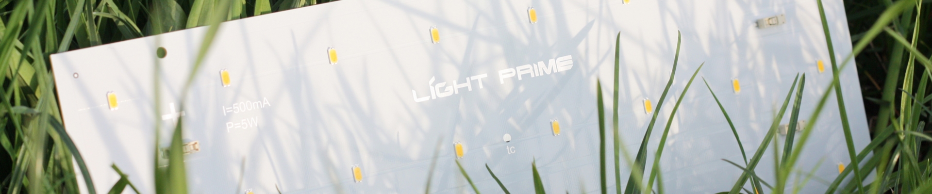 Лайт прайм Light prime